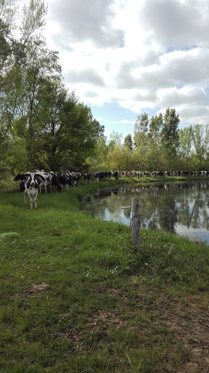 Charmante Maison A La Ferme Valderies Exterior foto