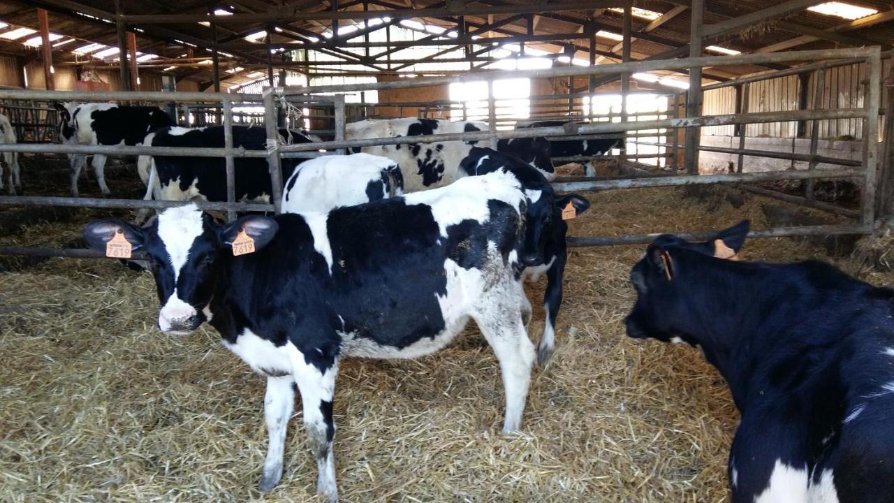 Charmante Maison A La Ferme Valderies Exterior foto